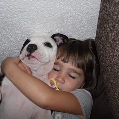 lief he