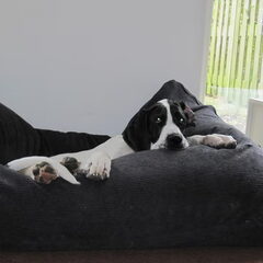Hoi baas!