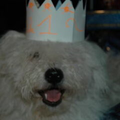 Joske 1jaar(1/12/10)
