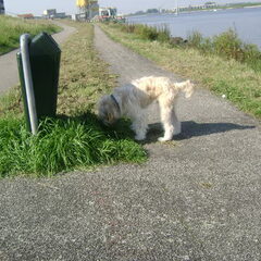 Lekker aan het wandelen