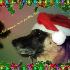 (proef)kerstkaartje01