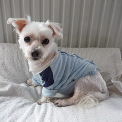Rip Pompon 4/10/2010