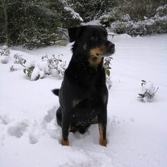 (Sneeuw)Storm!!