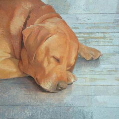dit is een foto,van het schilderij,dat ik van m'n labrador…