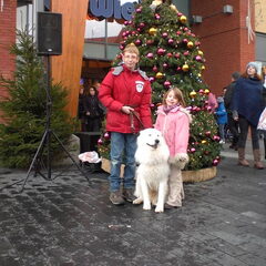de zingende kerstboom