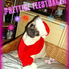 Xmascard design 2010 :)