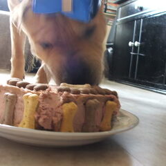 dit is lekker