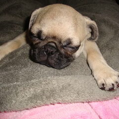 So SwEEt