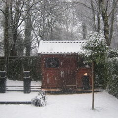 mijn achtertuin 16 december 2010