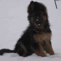 Sneeuw!! 3 maanden