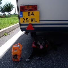 Max in de schaduw onder de caravan.