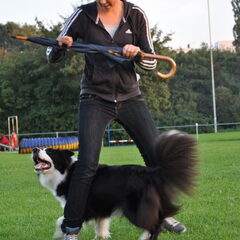 Dogdance !!
