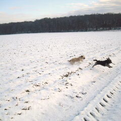 zoveel pret met zijn tweetjes in de sneeuw.