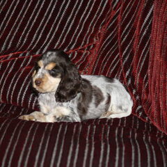 Joy hier 9 weekjes jong