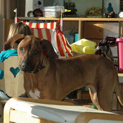 heeee, maken ze nou een foto van me?....