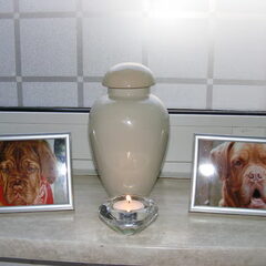 gucci weer thuis