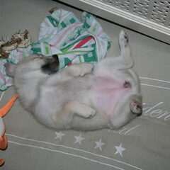 Helemaal in dromeland!:P