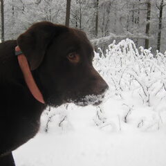Sneeuw eten, wel nee dat doe ik niet.... hahaha