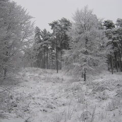 zandverstuiving Haantjebak in de sneeuw