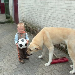 dit is mijn kangal . lady