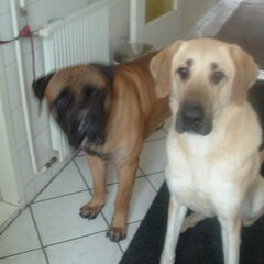 lady en paco