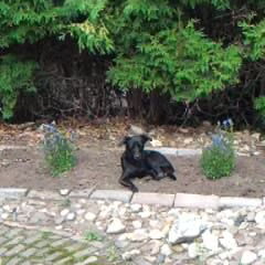 Lekker in de tuin relaxen