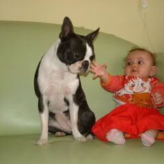 Mijn dochter Isabella met mijn eerste Boston Mona * RIP *