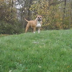 Misty on top of the world