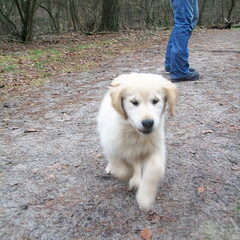 Luna in actie!