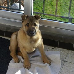 Akira nu op 24-01-2011