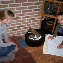 Mijn broertje en zusje met de puppie spelen!