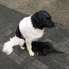 Eefke met haar moeder. Even nog wat drinken.