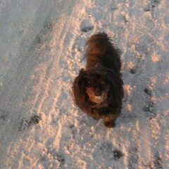 Yes !!!!! Sneeuw