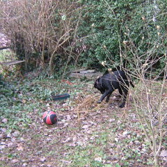 Pépé in de tuin 23