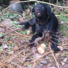 Pépé in de tuin 25
