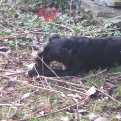 Pépé in de tuin 28
