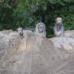 Racen met z'n 3en