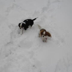 lekker samen voor het eerst in de sneew