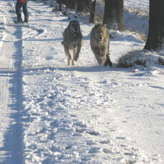 wedstrijdje Joy en Jesse