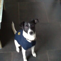 poseren in de romper, whaaaaa...