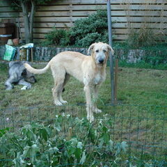 6 maanden