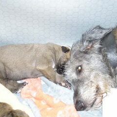 Samen met mamma