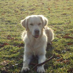 jessy ,heerlijk wandelen