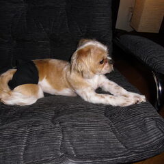 Shaila† Net naar de salon geweest.
