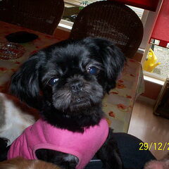 dit is amy ze is 2 jaar oud.