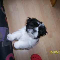 dit is daisy!(L)(L)