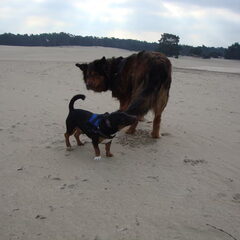 Charlie en Spike