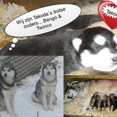 Takoda en zijn familie.