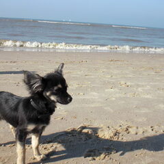 1e keer op het strand!!!