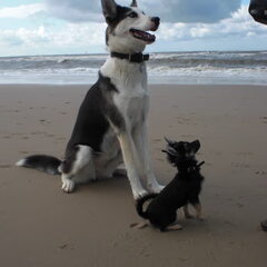 samen met Sky op het strand